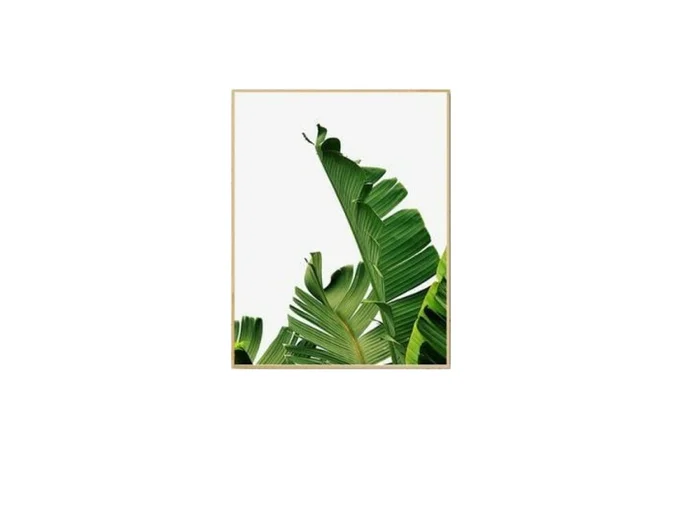 Marco Natural Banana Leaves I en Madera natural - Decoración de pared, Uruguay | Finkel