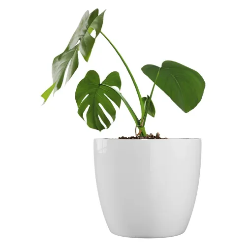 Macetero Premium N27 Blanco 23cm Alto x 27 Diam Boca, 9,5 lts en Blanco - Macetas, Uruguay | Champagne Home