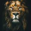 Cuadro León - Moldura Negra 50x70 cm - Decoración de pared, Uruguay | Berna home, vista 2 de 2