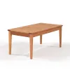 MESA DE CENTRO RIADE 100x50x43CM JATOBA - Muebles para el exterior, Uruguay | Vinibel, vista 1 de 7