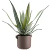 Maceta ROBIN Ø12xH11cm uva - Macetas, Uruguay | JYSK, vista 4 de 4