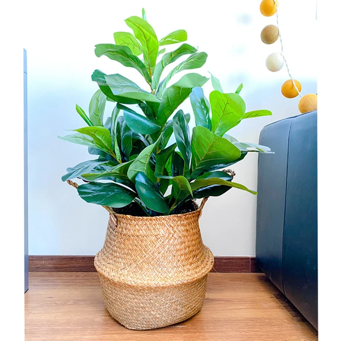Planta artificial Ficus Lyrata 90cm - Macetas, Uruguay | Alta Gracia Deco, vista 2