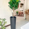 Ficus Lirata en Negro - Decoración, Uruguay | Indrana, vista 1 de 2