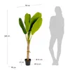 Planta artificial Banano con maceta negro 160 cm en Verde - Macetas, Uruguay | Kavehome, vista 3 de 3