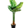 Planta Monstera 85cm - Color Unico en Multicolor - Muebles para el exterior, Uruguay | Indian, vista 4 de 4
