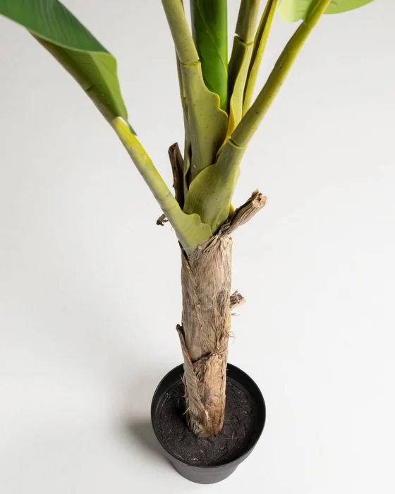 Planta artificial Banano con maceta negro 160 cm en Verde - Macetas, Uruguay | Kavehome, vista 2
