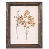 CUADRO - SERIE BOTANICS OSCURO 2 - 55 X 70 CMS - Decoración de pared, Uruguay | La Iberica, vista 1 de 2