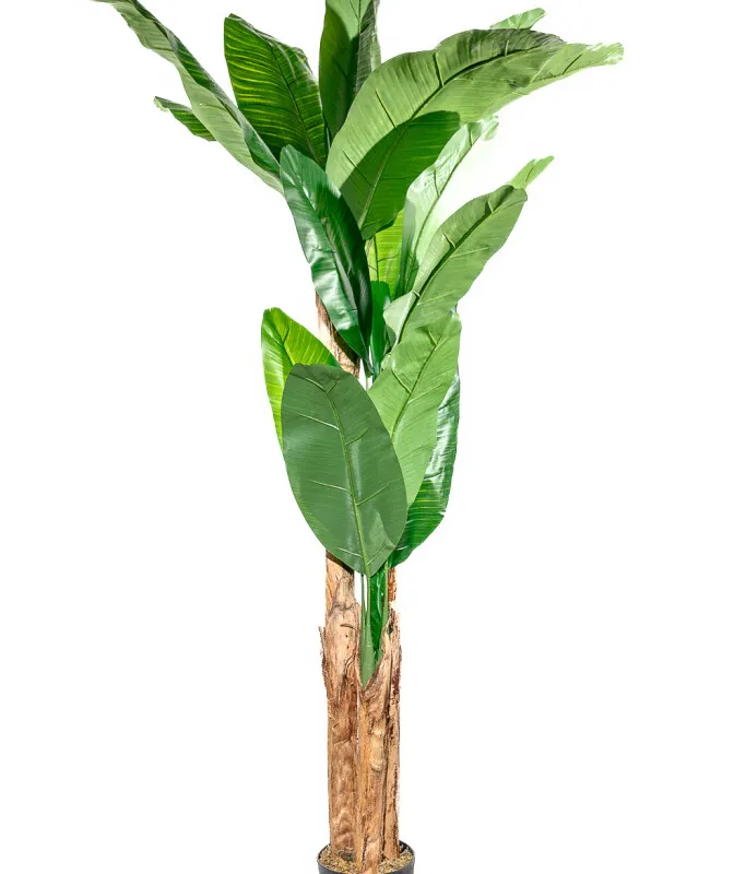 Planta Arum 100cm - Color Unico en Multicolor - Muebles para el exterior, Uruguay | Indian