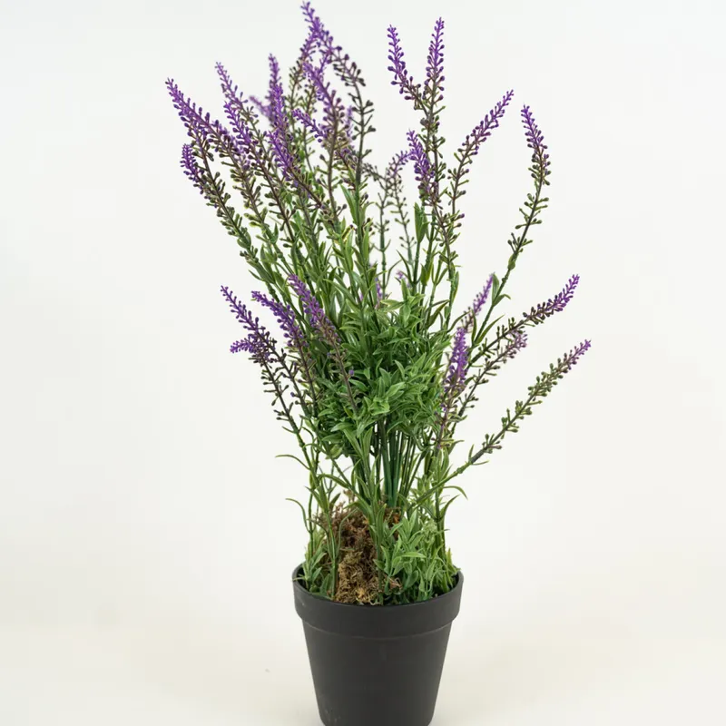 Planta Lavender 48cm - Color Unico en Multicolor - Muebles para el exterior, Uruguay | Indian