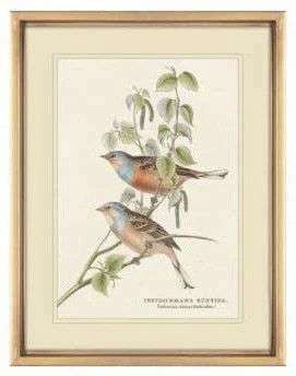 CUADRO BIRDS 3 - MARCO GOLD - 45 X 35 CMS en Dorado - Decoración de pared, Uruguay | La Iberica, vista 3