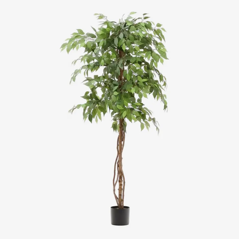 Árbol artificial Ficus con maceta negra 180 cm en Madera natural - Macetas, Uruguay | Kavehome