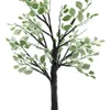 Arbol Led Con Hojas Y Ramas Decoracion Fiestas 65cm - Iluminarás en Blanco, Negro - Lámparas de mesa, Uruguay | Iluminaras, vista 5 de 8