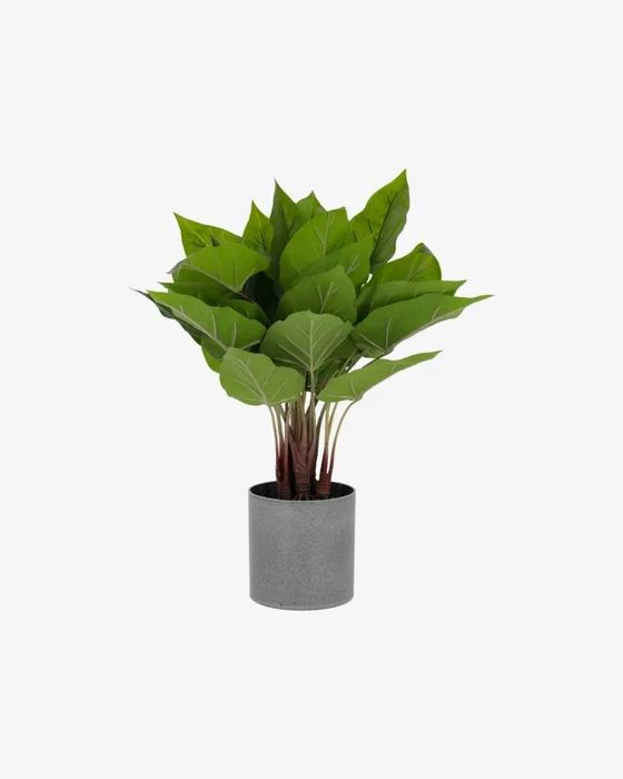 Planta artificial Anthurium con maceta de cemento 50 cm en Gris - Macetas, Uruguay | Kavehome