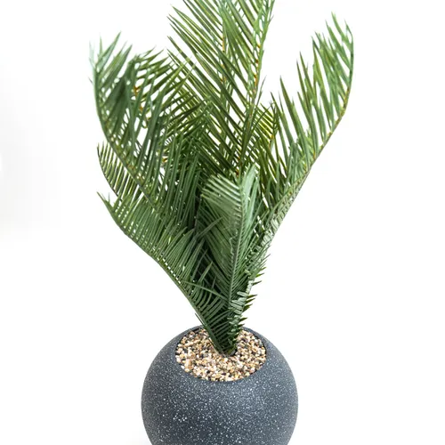 Planta Palmera 50cm - Negro en Negro - Decoración, Uruguay | Indian