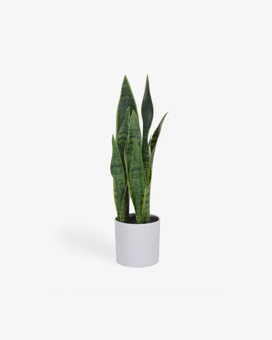 Planta artificial Sansevieria con maceta blanco 55 cm en Blanco - Muebles para el exterior, Uruguay | Kavehome