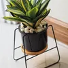 MACETA CERAMICA C/BASE D11x16CM NEGRO/BASE BLANCO en Negro - Macetas, Uruguay | Koz, vista 3 de 4