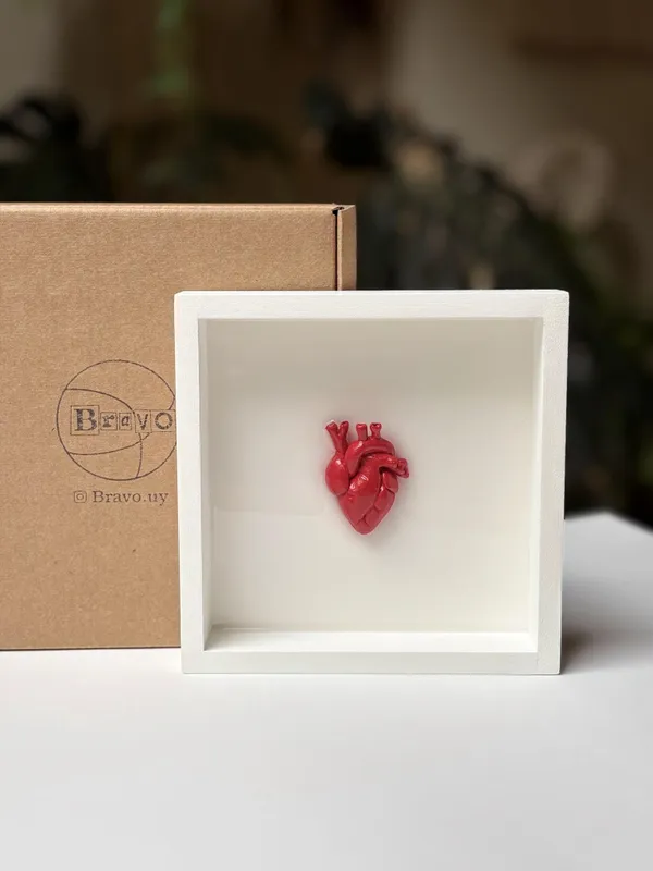 Cuadro Anatomía del corazón - Cuadros, Uruguay | Bravo