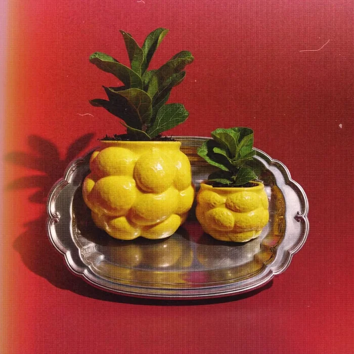 Maceta de cerámica Amalfi chica en Amarillo - Macetas, Uruguay | Buho Store