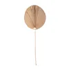 Hoja Decorativa Fibras-naturales Natural-beige Wdl2102 en Madera natural - Decoración, Uruguay | Divino, vista 1 de 2
