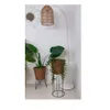 Iluminación Colgante en Rattan en Iluminación Colgante en Rattan - Lámparas colgantes, Uruguay | Finkel, vista 3 de 4