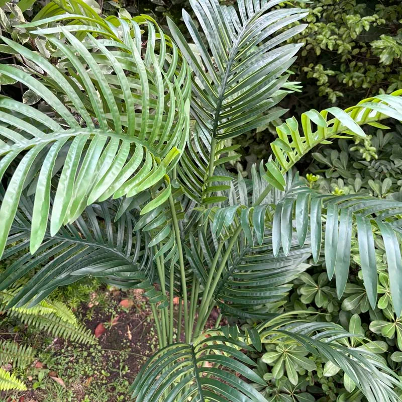 Planta Areca Artificial 160cm en Negro - Macetas, Uruguay | Alta Gracia Deco, vista 6
