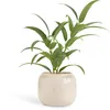Maceta MARCUS Ø16xA13cm beige en Beige - Macetas, Uruguay | JYSK, vista 1 de 5