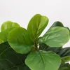 Planta Ficus Lira 110cm - Color Unico en Multicolor - Muebles para el exterior, Uruguay | Indian, vista 2 de 4