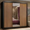Ropero Placard Matrimonial Monaco 170CM con 1 Espejos 3 Puertas Corred - Roperos y placares, Uruguay | Balton, vista 1 de 24