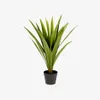 Planta artificial Yucca con maceta negro 80 cm en Verde - Macetas, Uruguay | Kavehome, vista 1 de 4