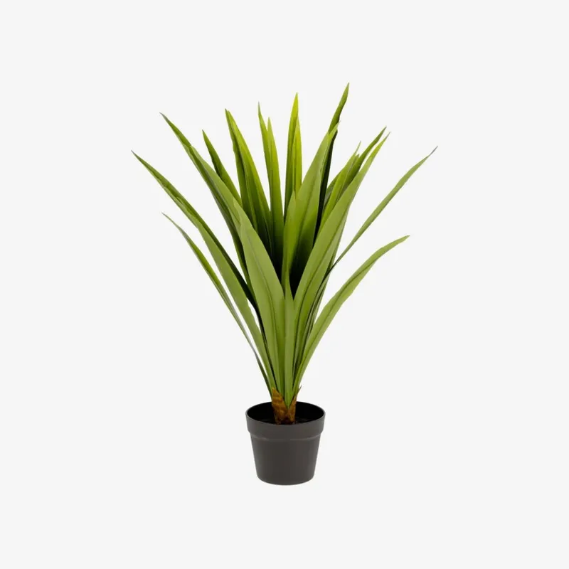 Planta artificial Yucca con maceta negro 80 cm en Verde - Macetas, Uruguay | Kavehome
