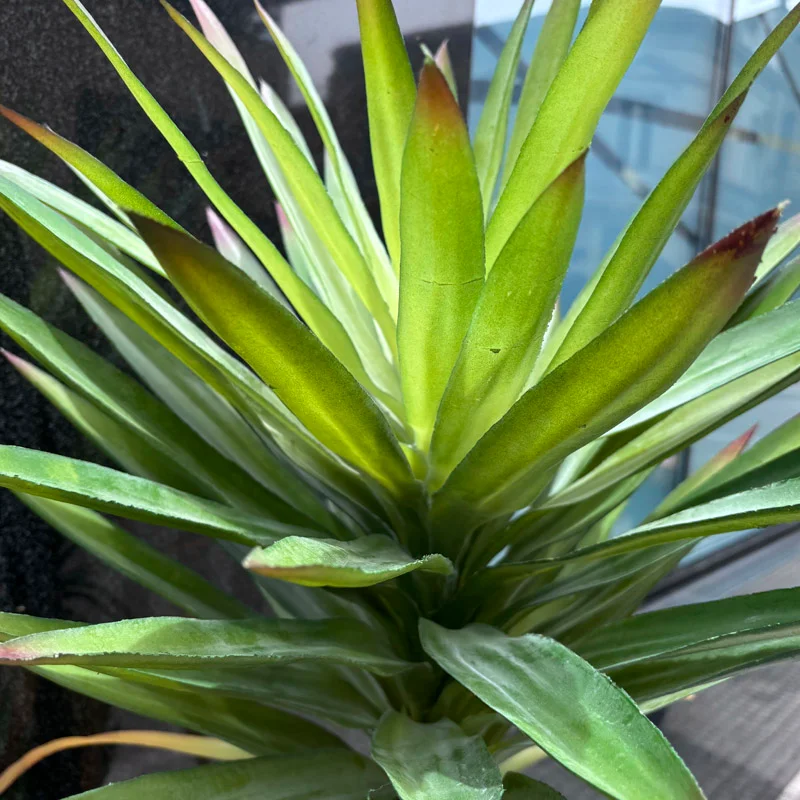 Planta artificial Yucca 165cm en Negro - Macetas, Uruguay | Alta Gracia Deco, vista 6