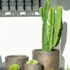 Kate Bronce - Macetas, Uruguay | Balcony, vista 2 de 11