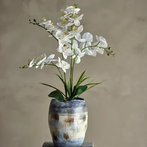 Maceta Orquídea blanca - Decoración, Uruguay | Martinika Deco