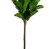 Planta Higuera 130cm - Color Unico en Multicolor - Muebles para el exterior, Uruguay | Indian, vista 4 de 4