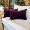 Almohadon terciopelo rectangular - Muebles, Uruguay | FMB, vista 1 de 2