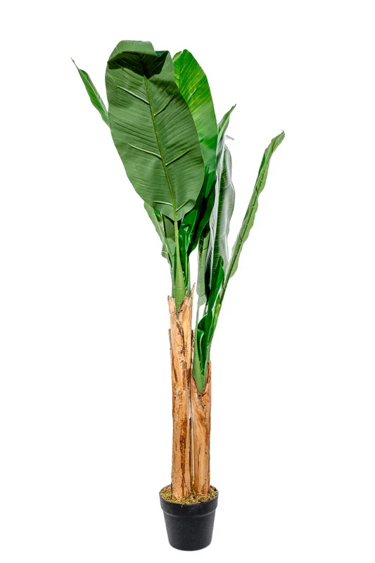 Planta Arum 120cm - Color Unico en Multicolor - Muebles para el exterior, Uruguay | Indian, vista 4