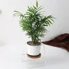 MACETA CERAMICA C/BASE D11x16CM BLANCO en Blanco - Macetas, Uruguay | Koz, vista 2 de 4