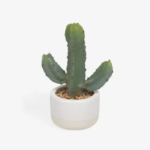 Planta artificial Cactus con maceta blanco 22 cm en Blanco - Muebles para el exterior, Uruguay | Kavehome