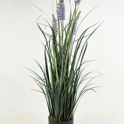 Planta Grass Violet 95cm - Color Unico en Multicolor - Muebles para el exterior, Uruguay | Indian