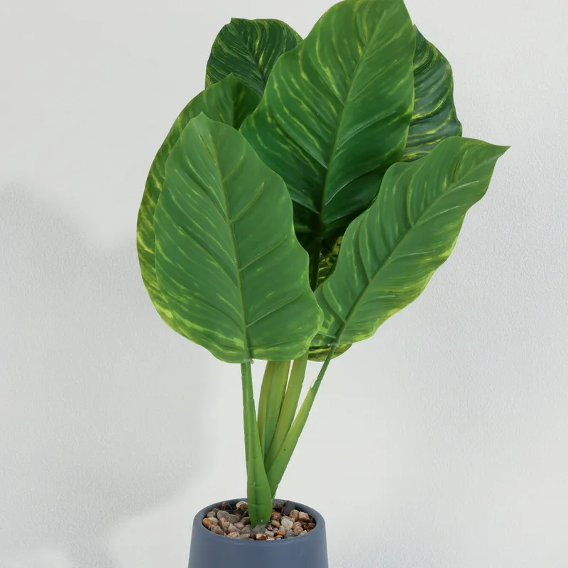 Planta Alocasia 40cm - Color Unico en Multicolor - Muebles para el exterior, Uruguay | Indian