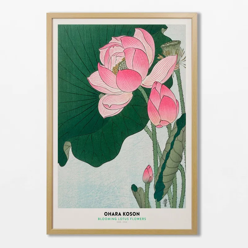 Ohara Koson - Blooming Lotus en Multicolor - Láminas, Uruguay | La Cuadrería