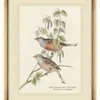 CUADRO BIRDS 3 - MARCO GOLD - 45 X 35 CMS en Dorado - Decoración de pared, Uruguay | La Iberica, vista 3 de 3