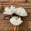 Flores de tela petit – Pack x3 - Jarrones, Uruguay | Dreams On Time, vista 13 de 19