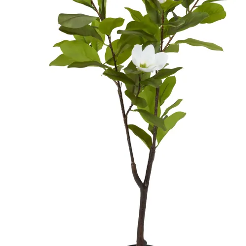 Planta artificial SPINDEL A120cm magnolia en Verde - Muebles para el exterior, Uruguay | JYSK