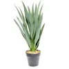 Planta Mandioca 55cm - Color Unico en Multicolor - Muebles para el exterior, Uruguay | Indian, vista 4 de 4