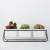 3 MACETAS CERAMICA 28x10x10CM BLANCO/NEGRO en Multicolor - Macetas, Uruguay | Koz, vista 4 de 4