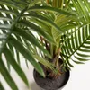 Planta artificial Palmera de helecho con maceta negro 150 cm en Verde - Macetas, Uruguay | Kavehome, vista 2 de 3