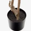 Árbol artificial Enkianthus con maceta negro 214 cm en Madera natural - Muebles para el exterior, Uruguay | Kavehome, vista 4 de 5