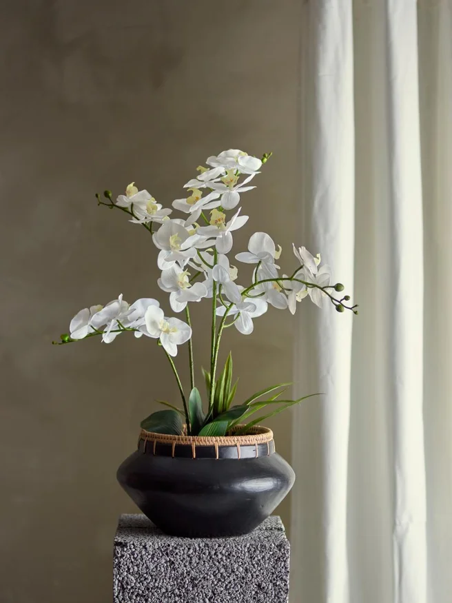 Maceta Orquídea blanca en Blanco - Decoración, Uruguay | Martinika Deco, vista 2