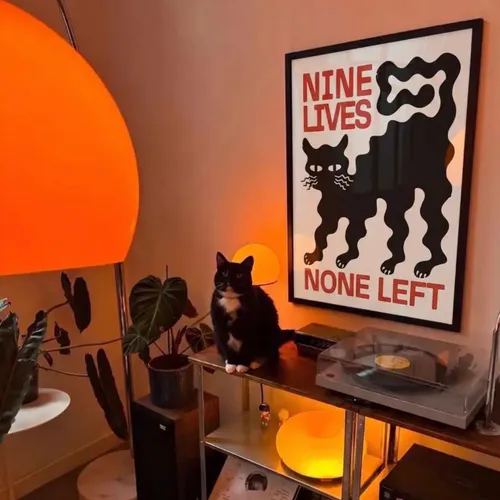 Nine Lives en Multicolor - Láminas, Uruguay | Mara Estudio